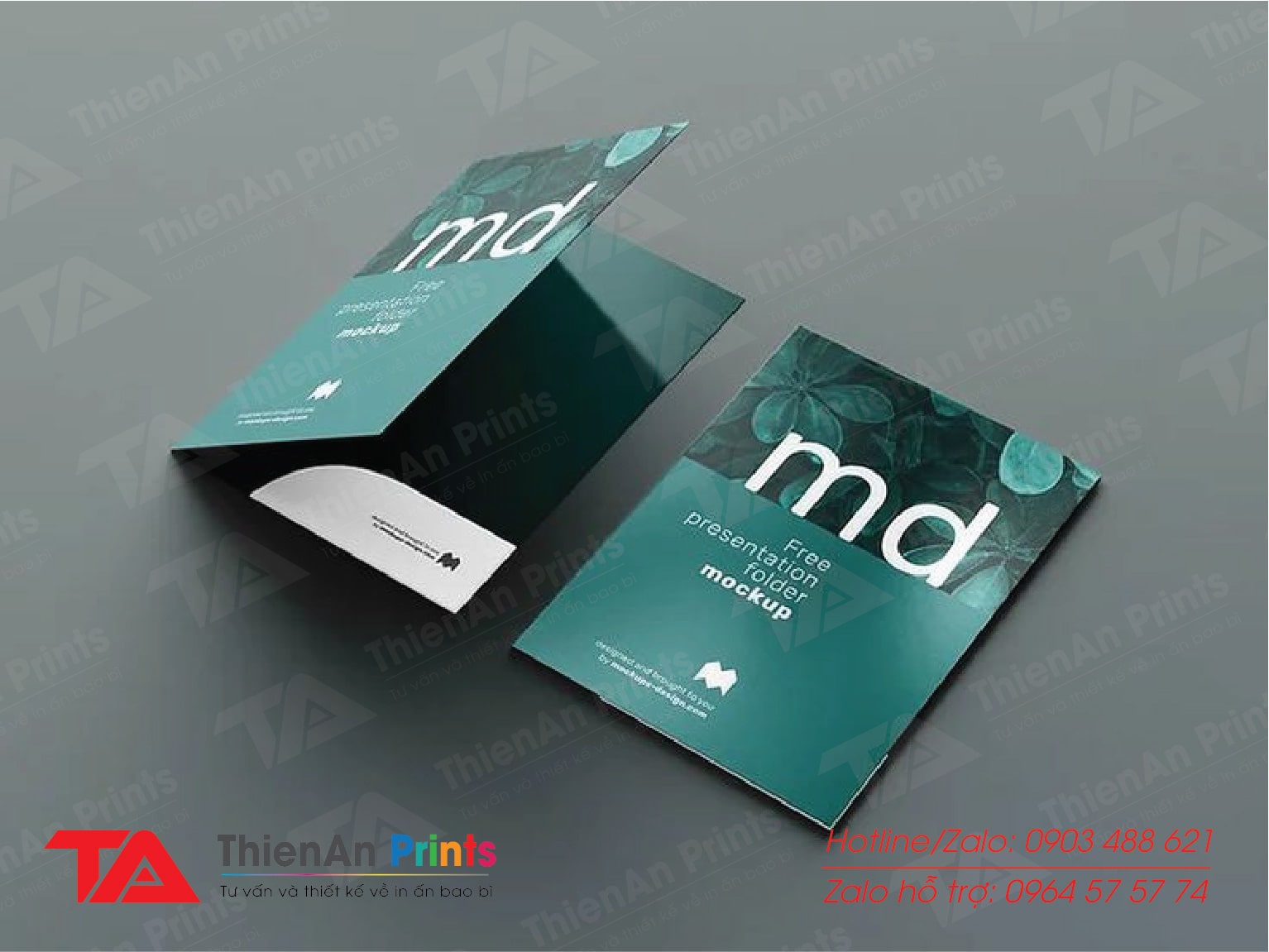 Mẫu Folder phổ biến